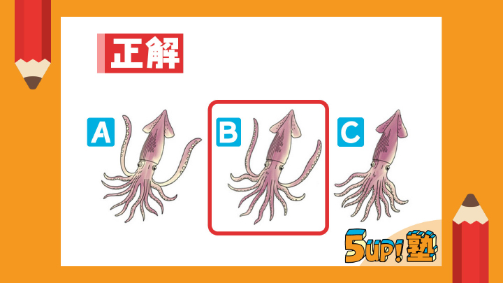 Answer