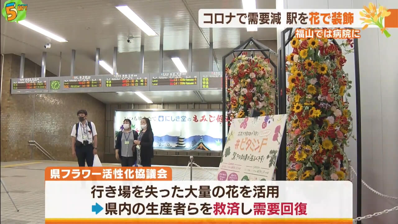 コロナで需要減の花　広島駅を装飾　福山市では病院へ