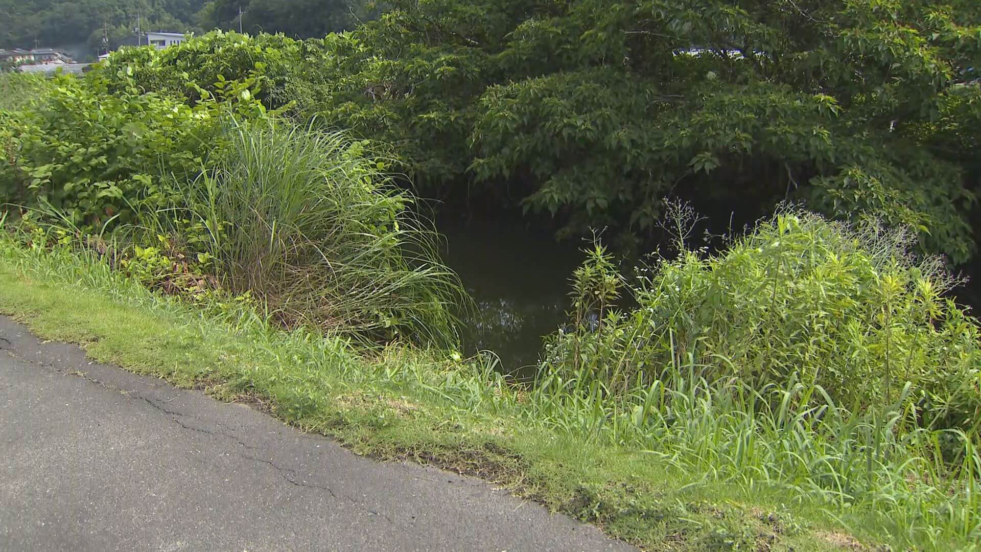 【社会】自転車で下校中の女子中学生が川に転落死。広島県福山市  [記憶たどり。★]YouTube動画>1本 ->画像>2枚 