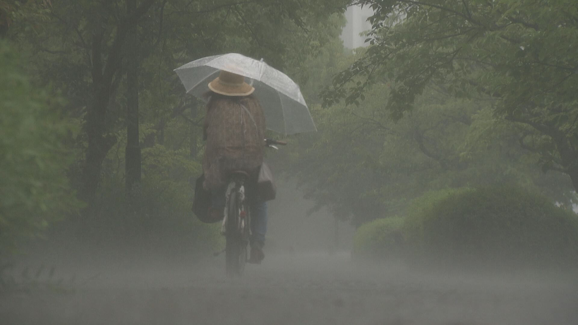 広島県内でも一時激しい雨　知事も警戒呼びかけ