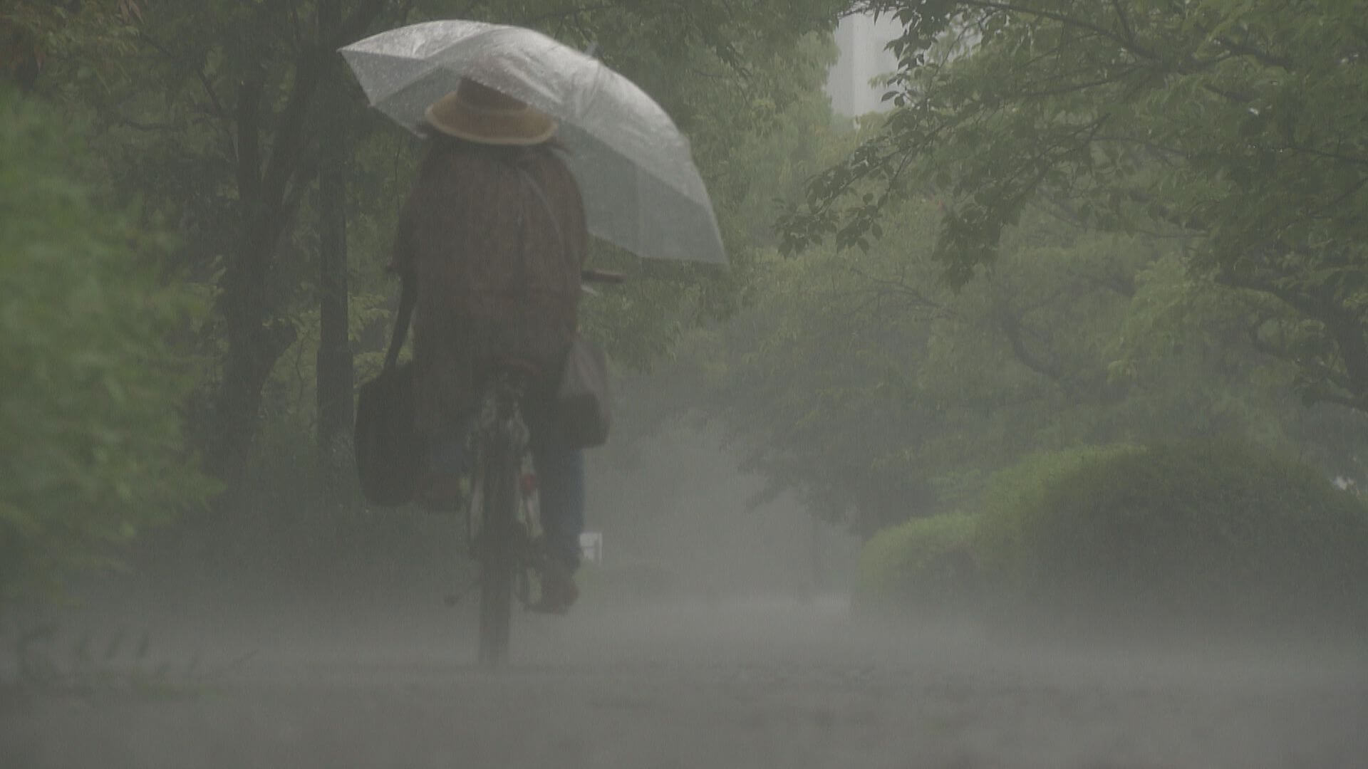広島県内でも強い雨　土砂災害などに警戒