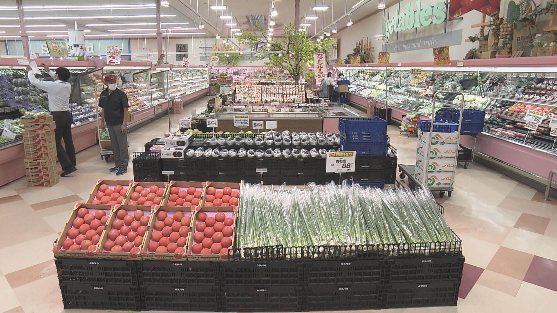 家計を直撃　野菜の価格高騰　長雨の影響深刻　広島