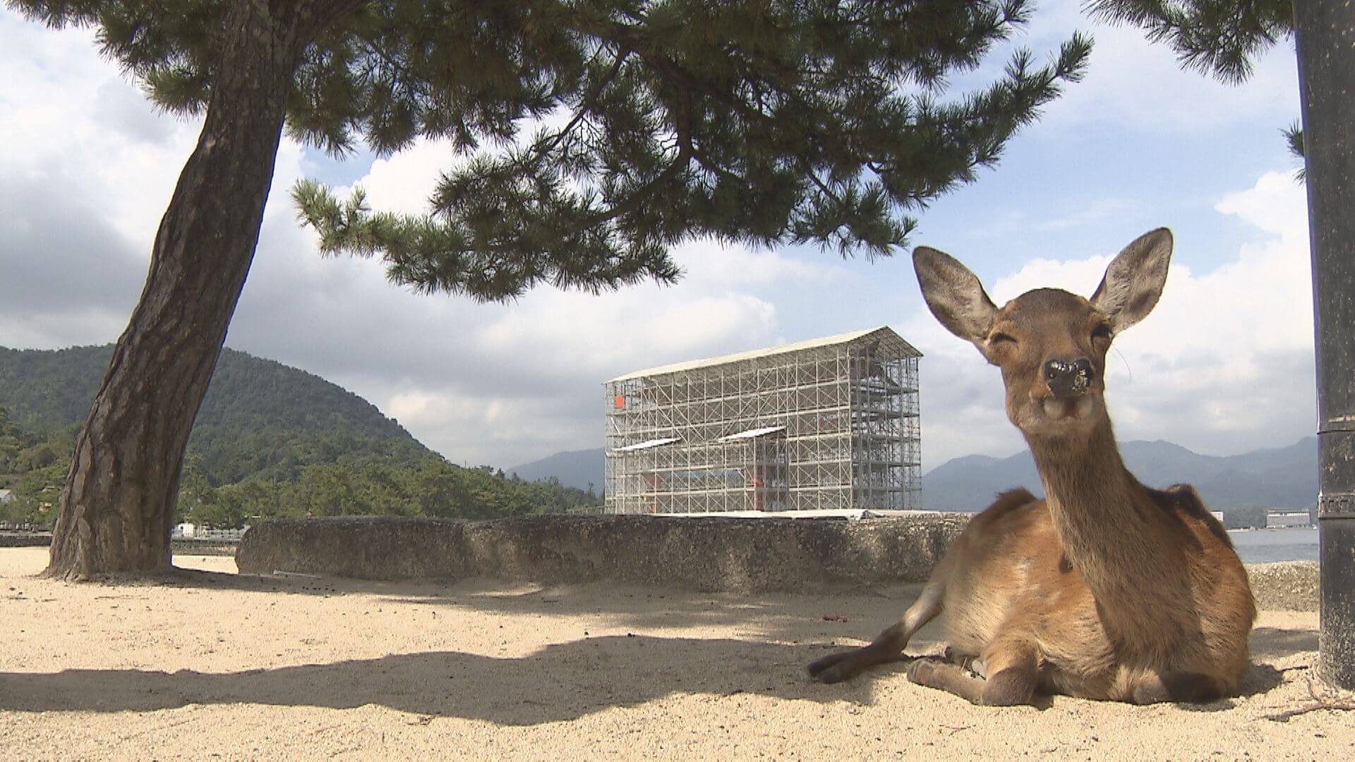 「やっぱ広島じゃ割」１０月１０日まで期間延長　広島