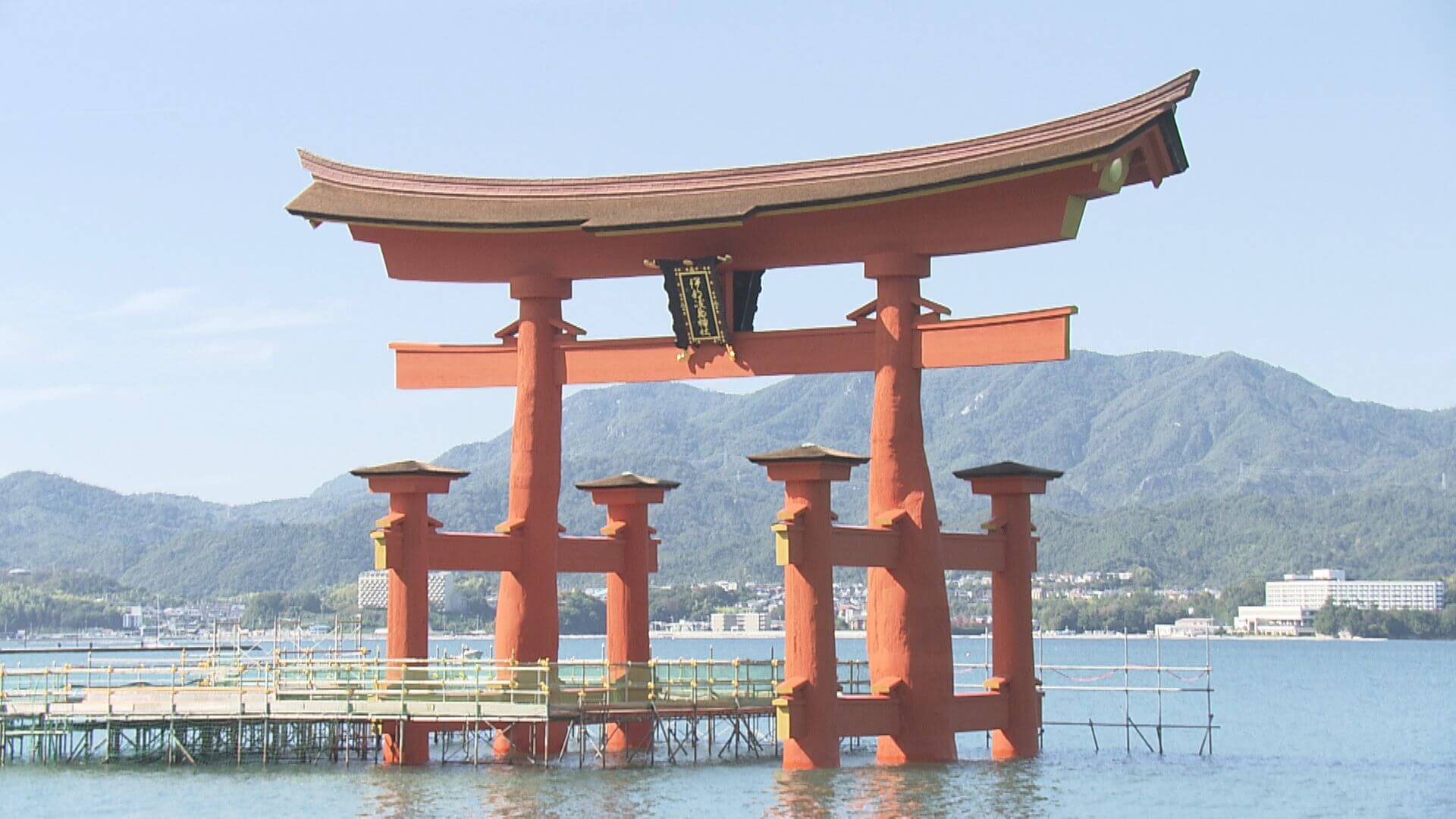 厳島神社 工事用通路 から楽しむ 今だけの大鳥居 １１月１日から 廿日市市 ニュース 報道 Home広島ホームテレビ