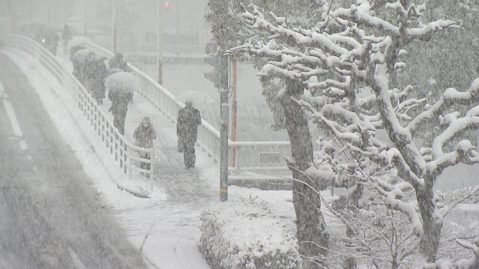 “クリスマス寒波”広島県で大雪　交通機関に大きな影響（午後１時現在）