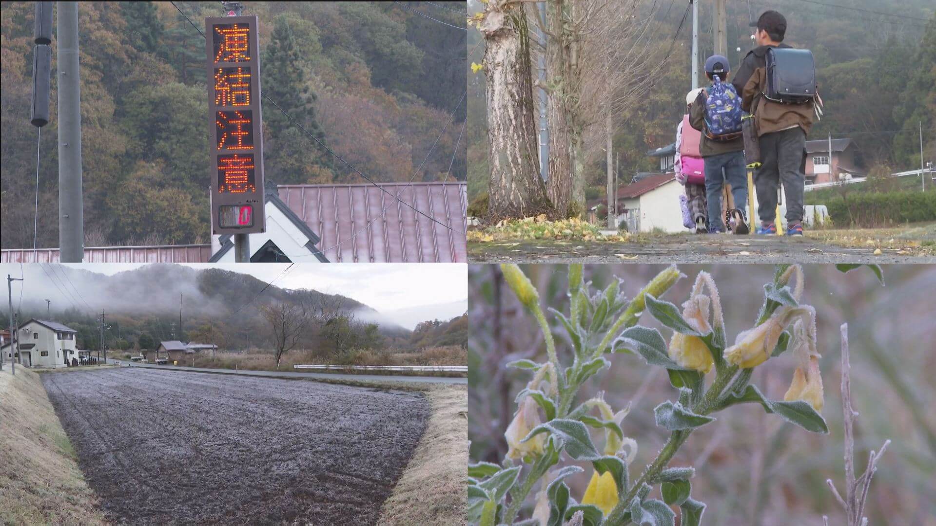 今季初の「冬日」放射冷却などで寒い朝　広島