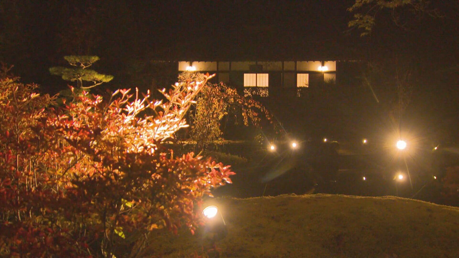 「秋の夜に楽しんで」寺院で紅葉ライトアップ　福山市
