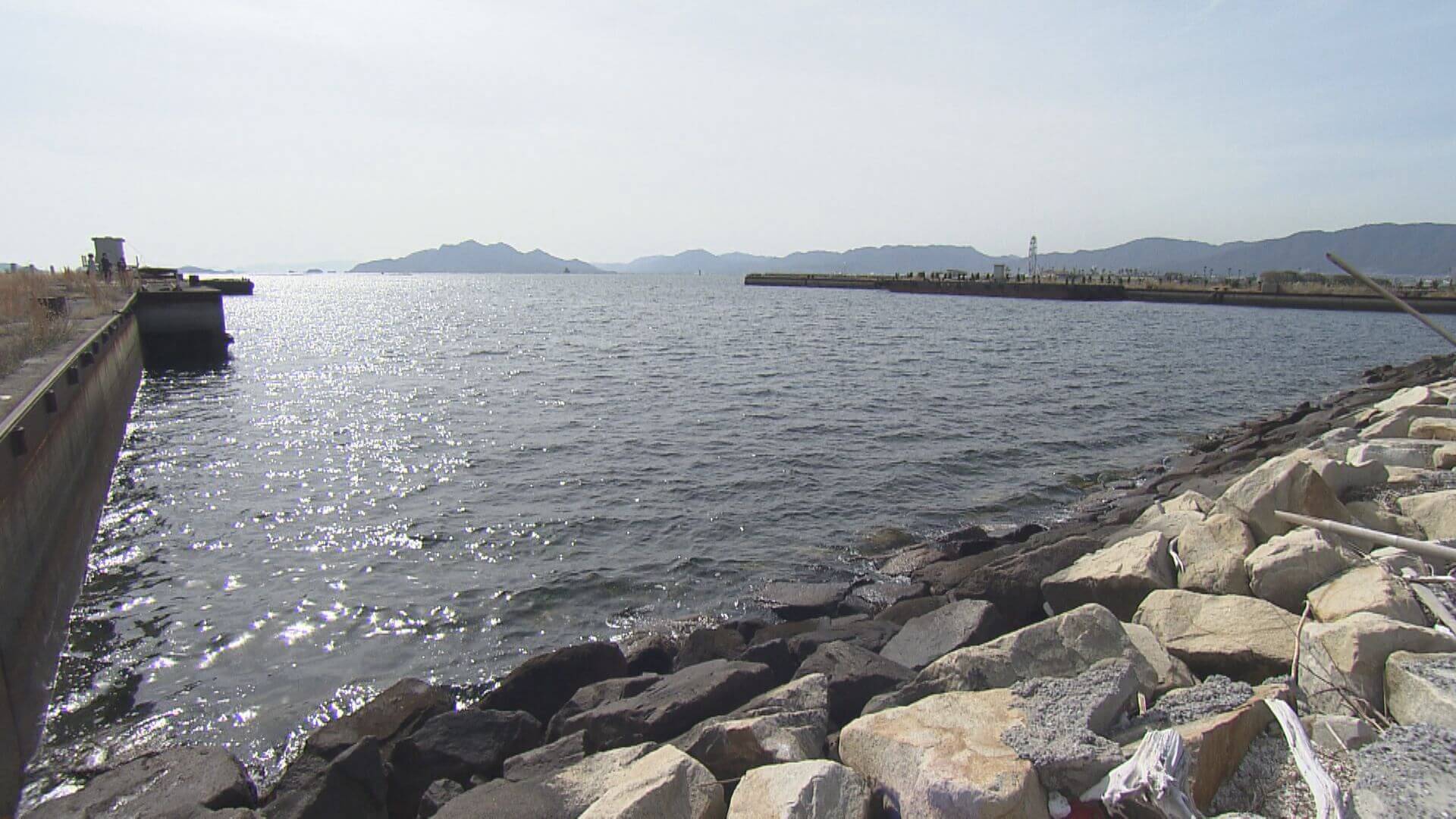 カキ殻　県有地に一時保管　堆積場が満杯に　広島