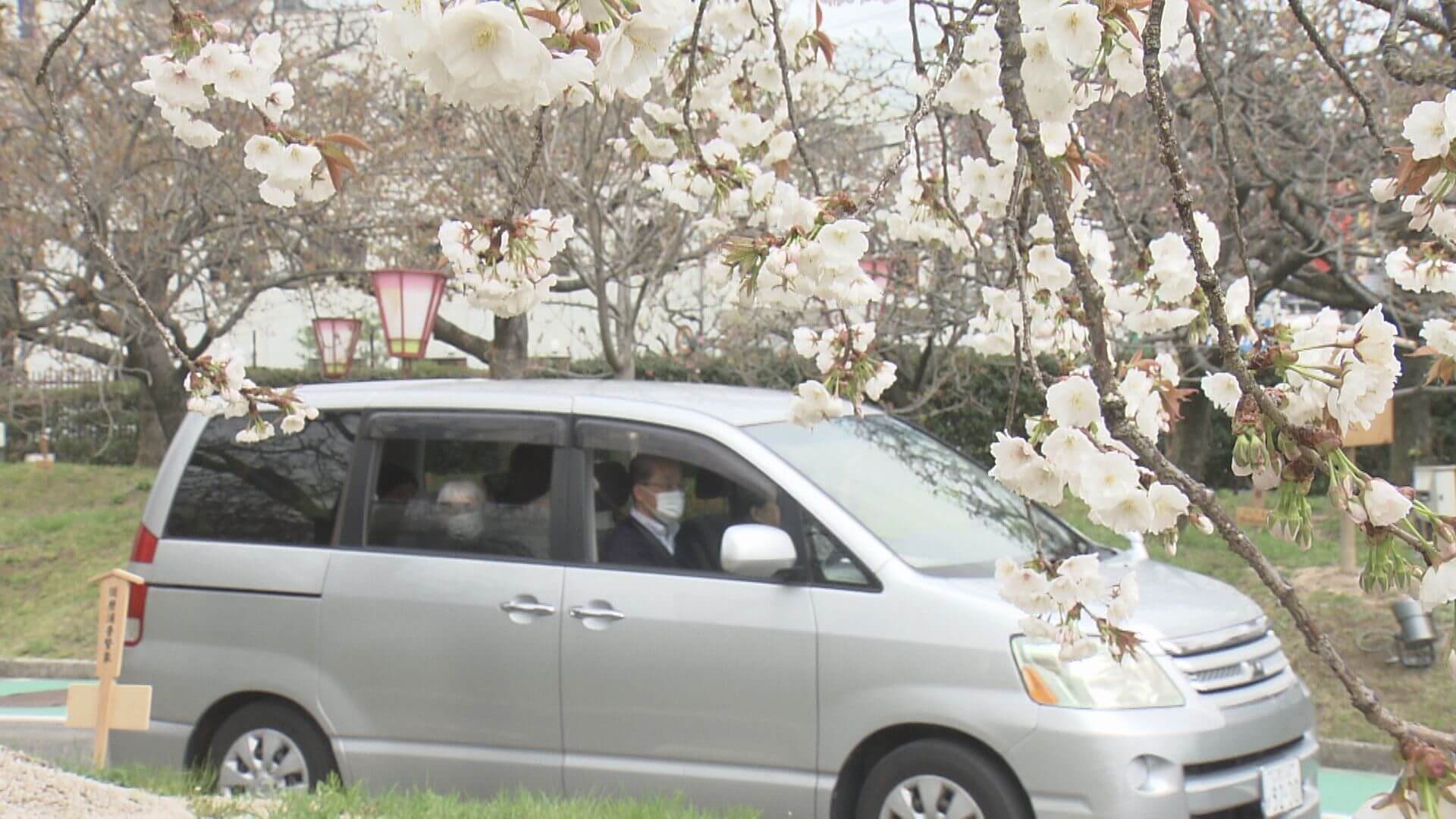 造幣局 春の恒例行事　「花のまわりみち」５日から　広島