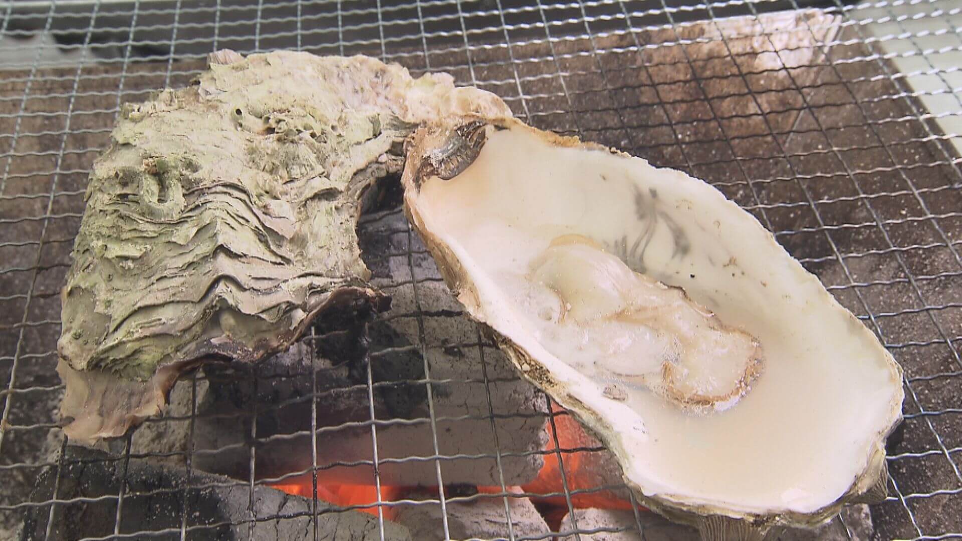 能登半島地震から１年あまり…「能登カキ」食べて復興応援　広島