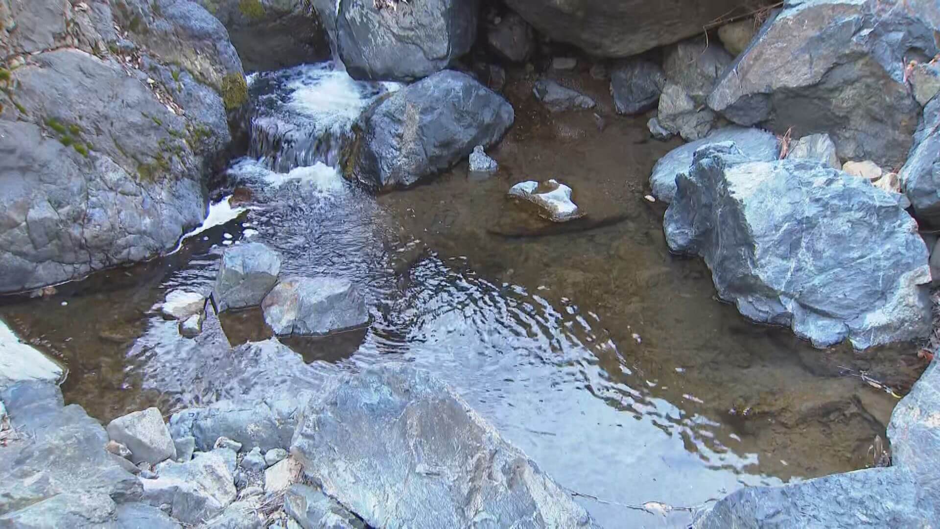 福山市加茂町の川でＰＦＡＳ超過　住民「困るわな…」