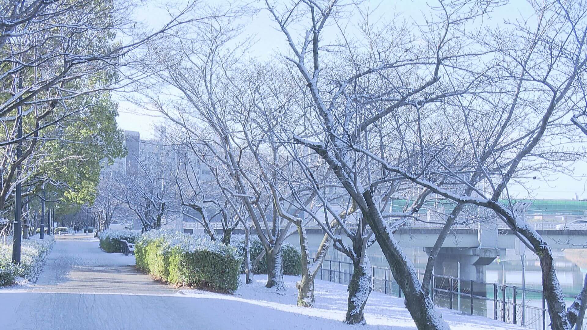 【広島県】強い寒気　厳しい冷え込み続く