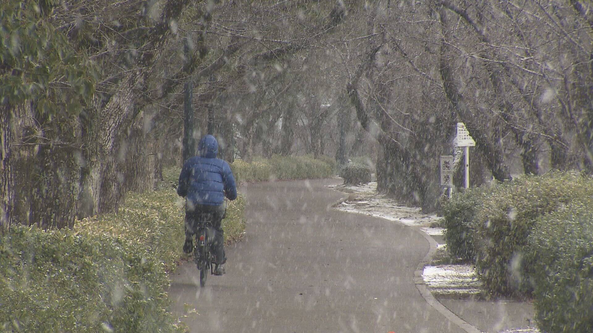 県北で一時大雪警報　南部の平地でも積雪か　広島