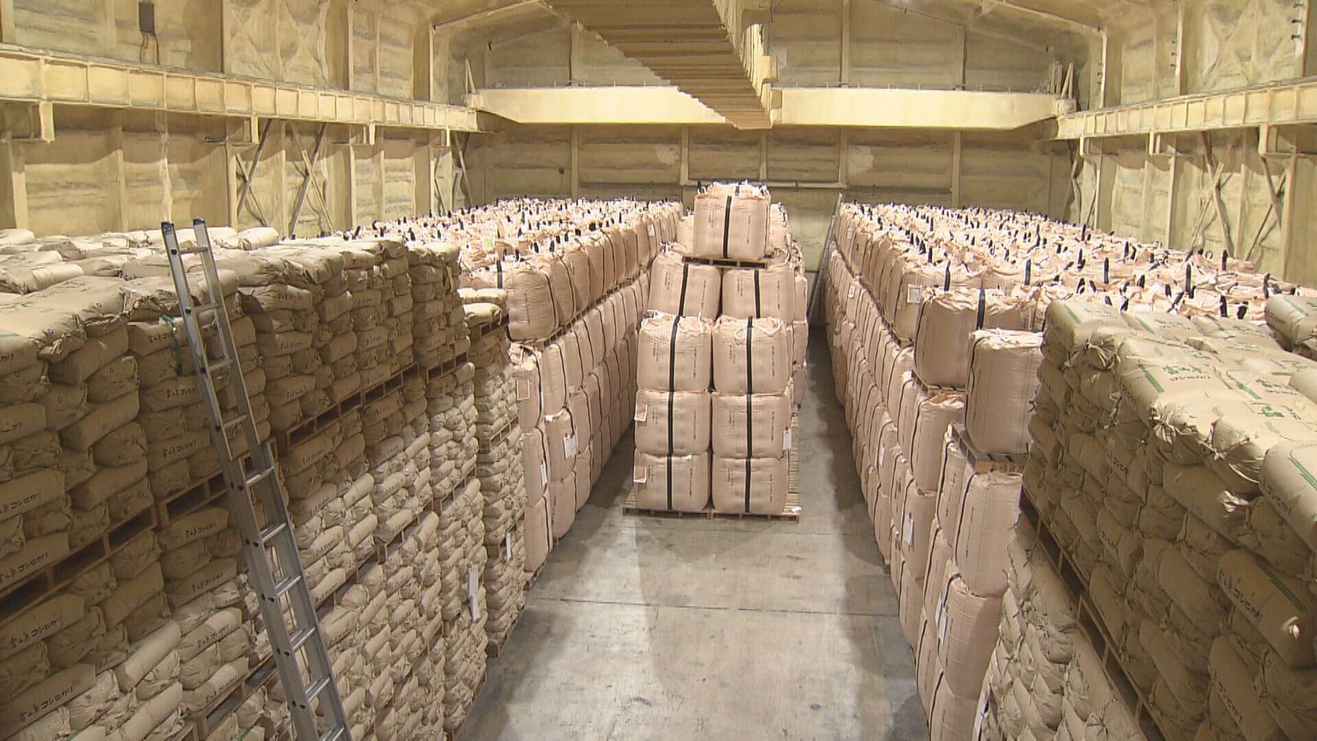 政府備蓄米の入札始まる　カレーもピンチ？止まらぬコメ高騰　広島