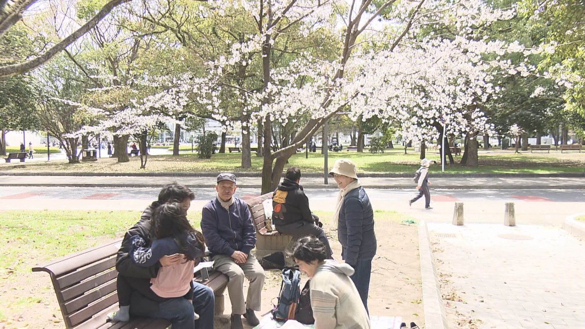 お花見シーズン到来！ソメイヨシノの名所でにぎわい　広島