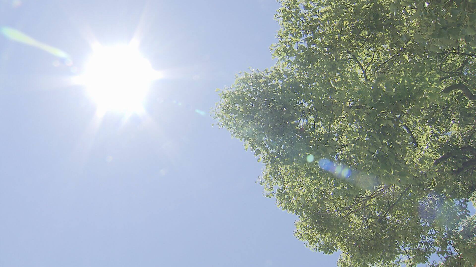 「暑すぎて無理…梅雨って何だっけ」真夏日相次ぐ…梅雨型熱中症に注意　広島