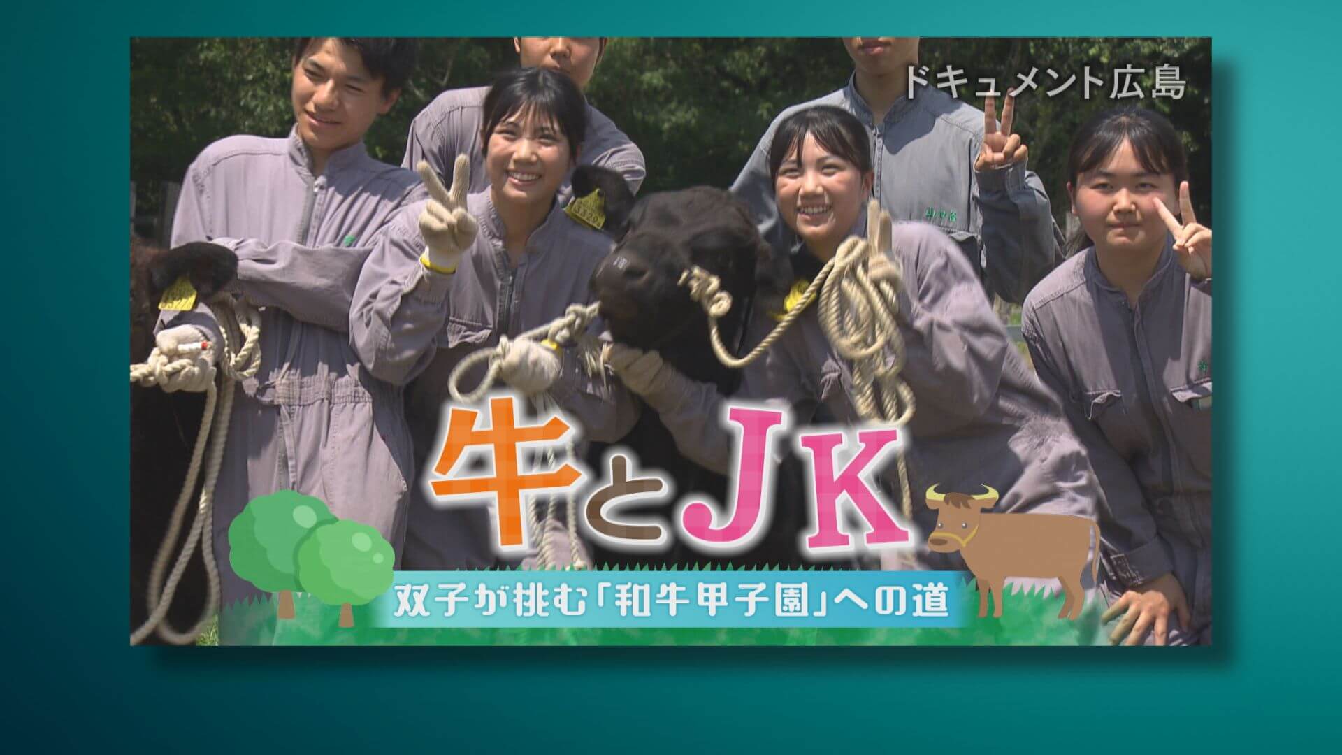 【ホームテレビ放送番組審議会】ドキュメント広島 「牛とＪＫ　 双子が挑む 和牛甲子園への道」を 審議