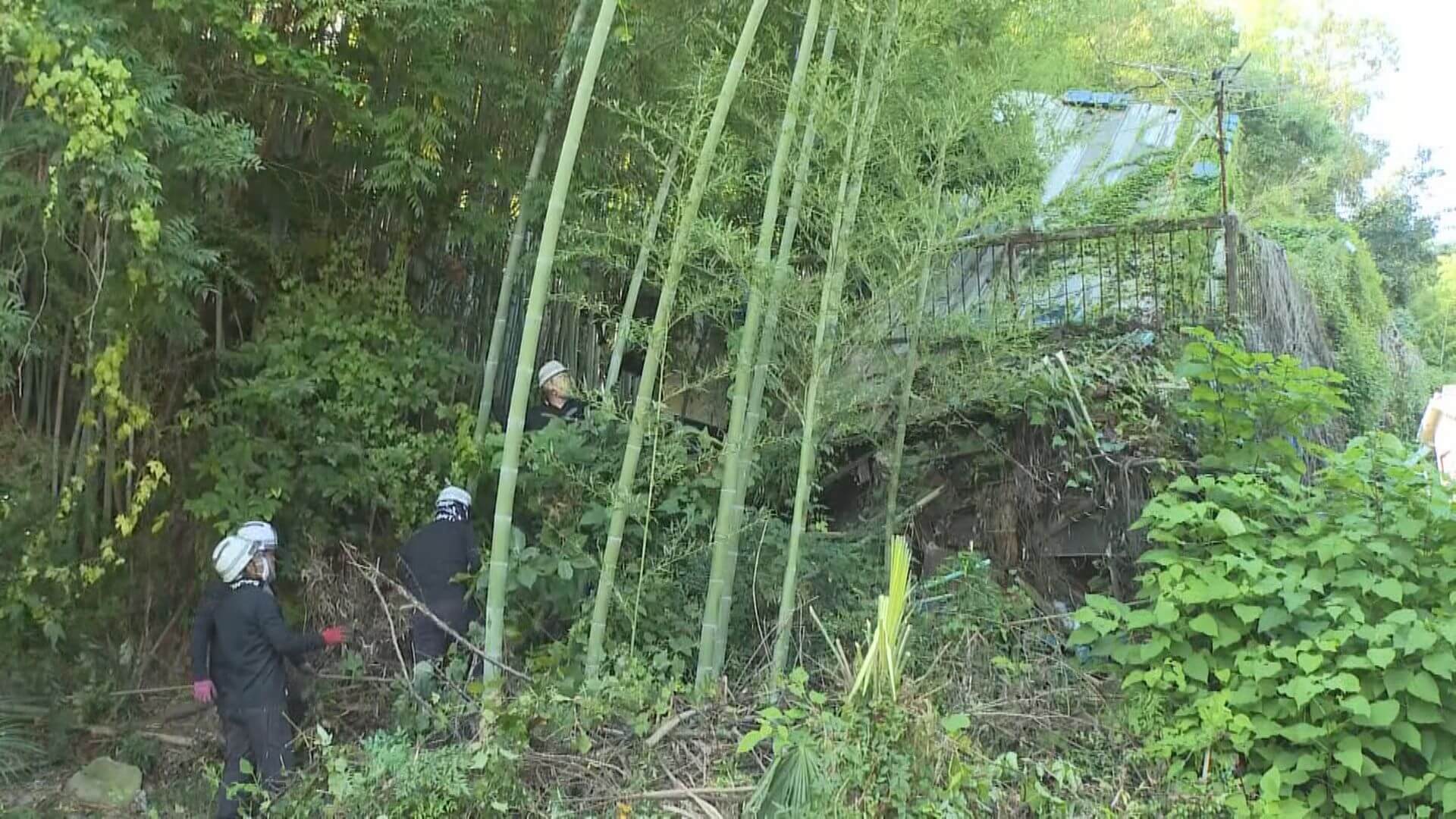 特定空き家に略式代執行　江田島市