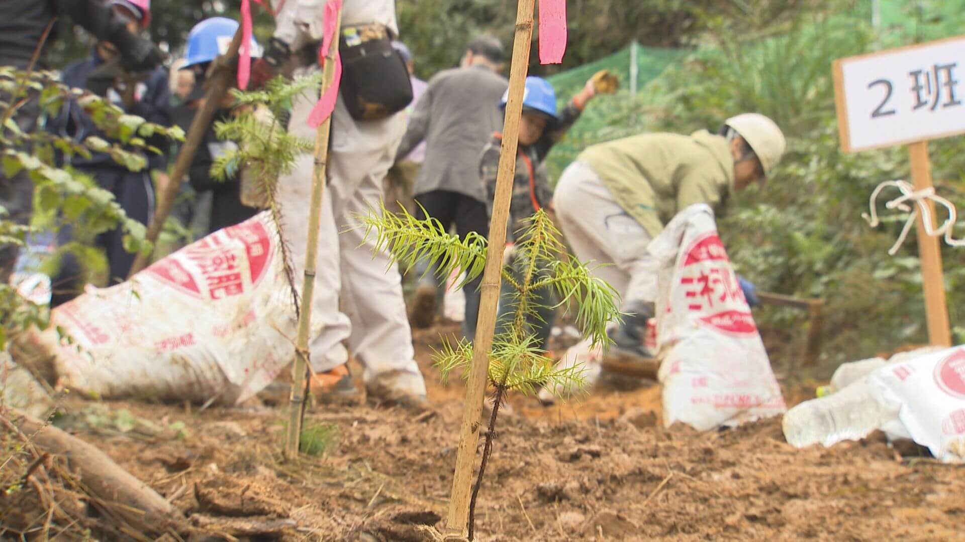 日本赤十字社などが植樹体験　環境問題への関心を高める　三原市