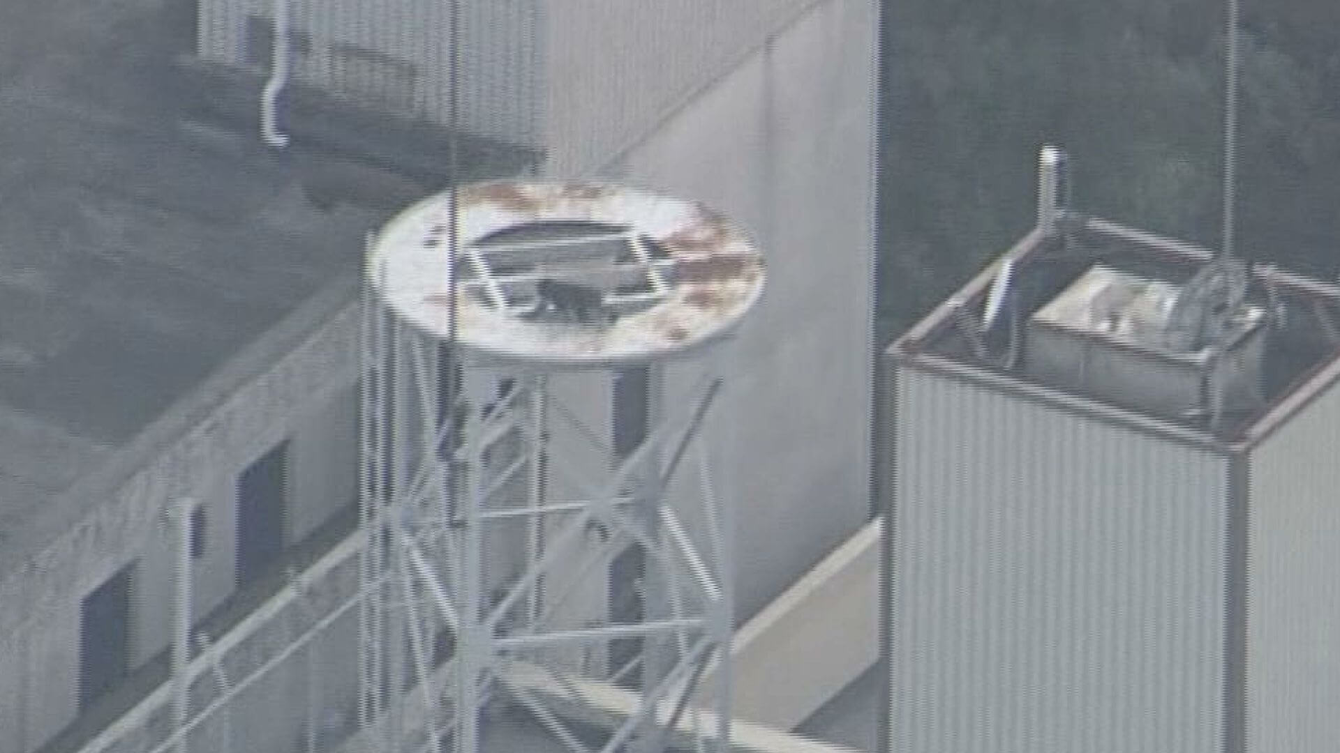 市内中心部で再びサル　上空から姿とらえる　ビルからビルへジャンプ　広島