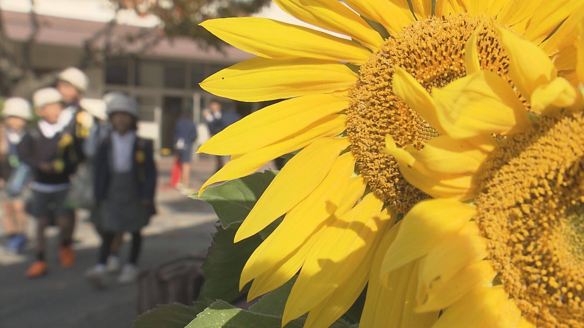 木下あいりさん（当時小１）殺害事件から２０年　続く見守り活動　広島