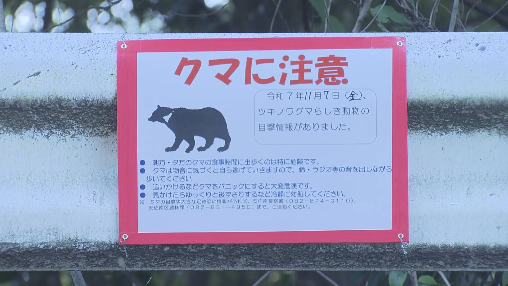 広島市内でまたクマ情報…先月だけで４０件目撃　市も対策へ