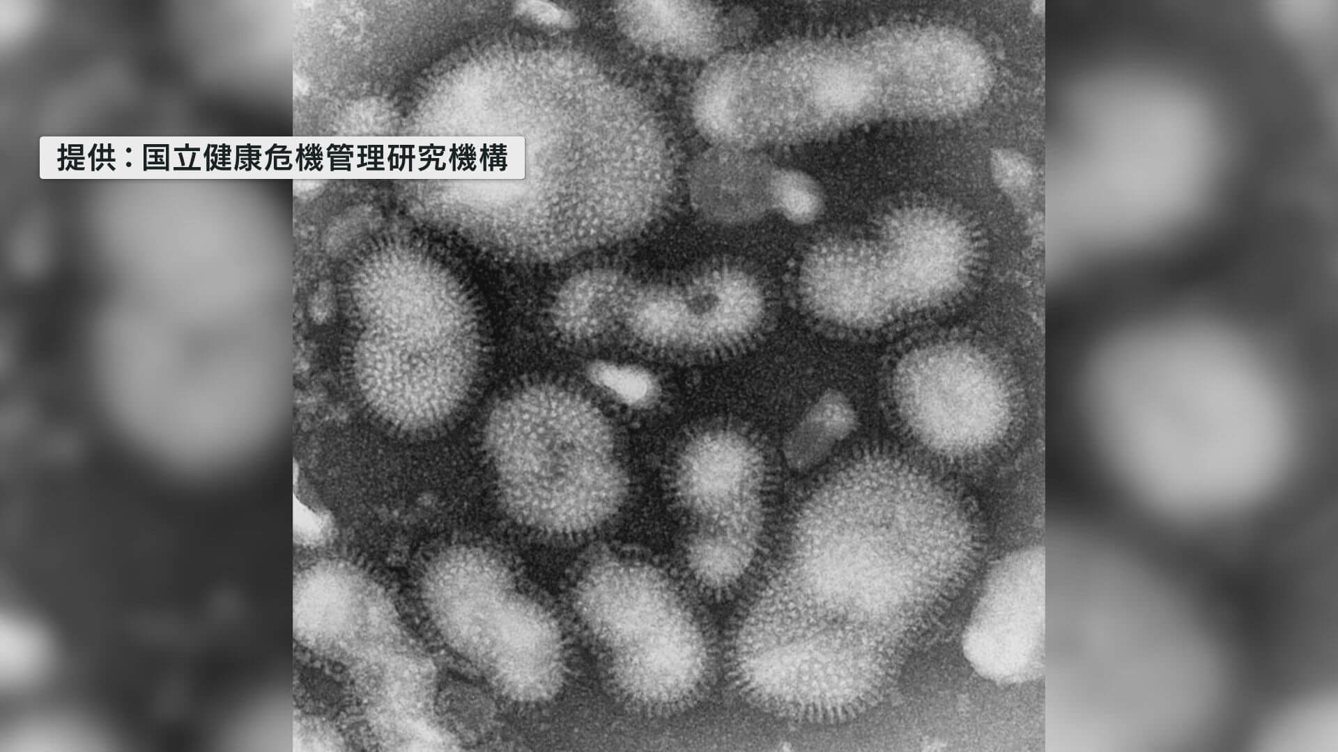 広島市インフルエンザ「警報レベル」　過去１０年間で最速ペース