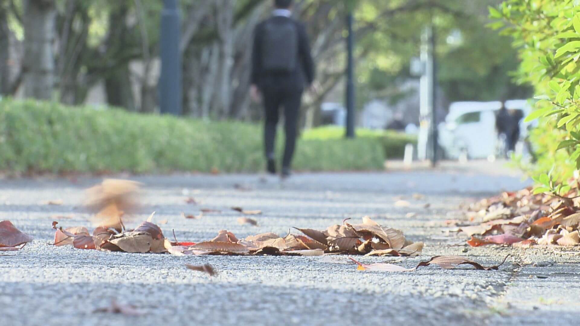 【広島】今シーズン一番の寒気　北部では雪の予想