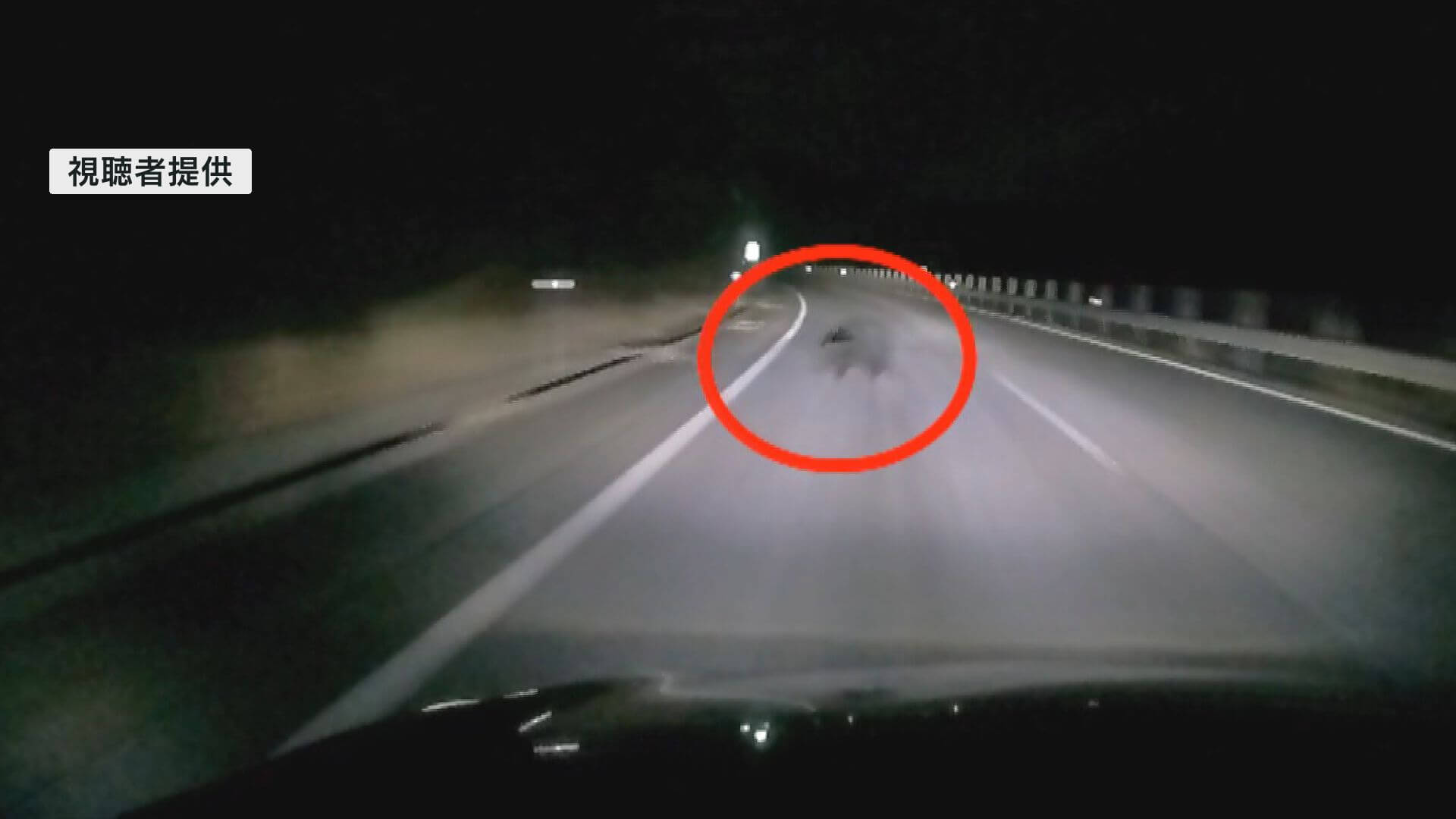 あわや大惨事！！　高速道路で目の前にクマか？　中国道