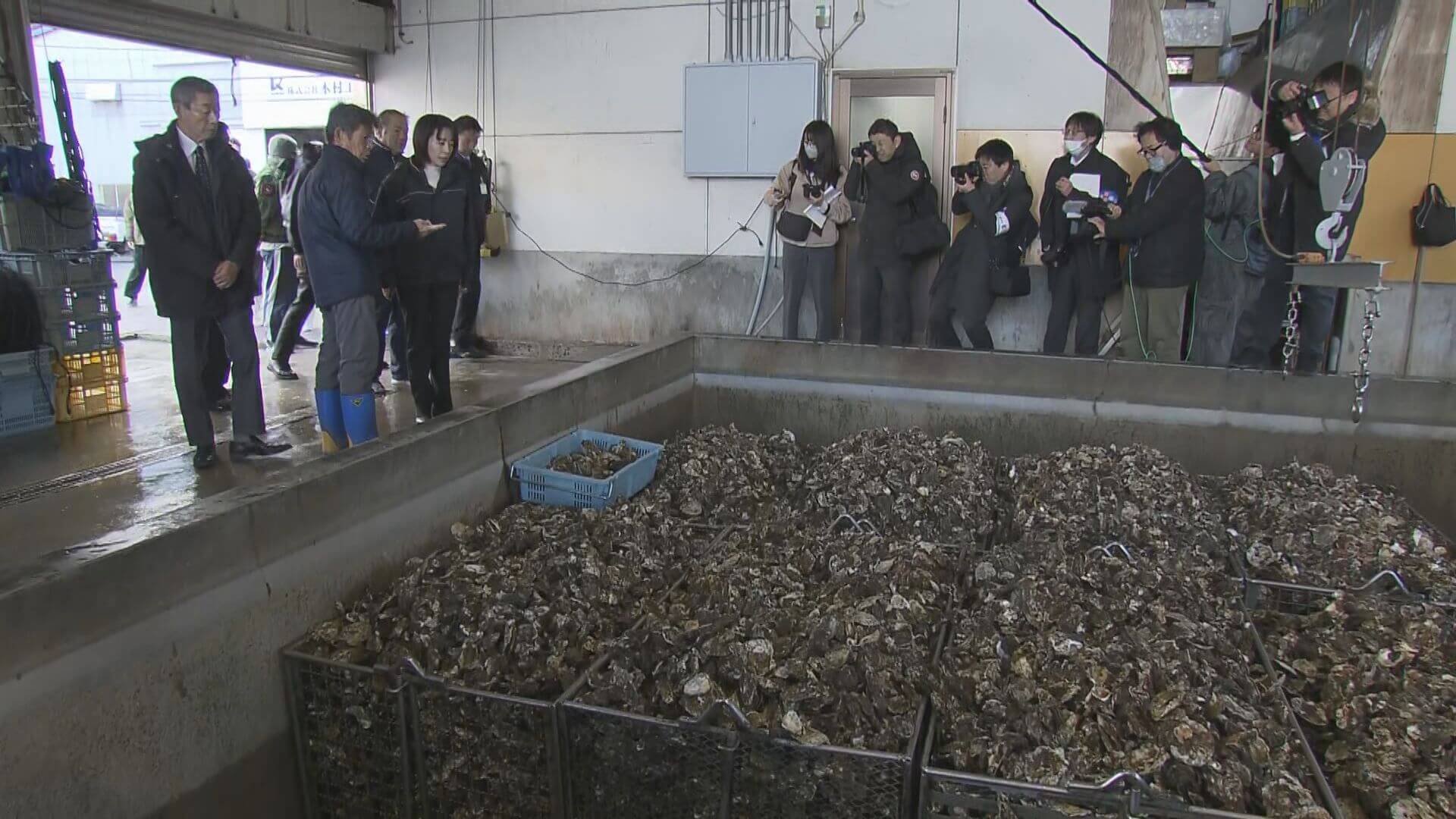 「早急に対処していかなければ」横田知事カキ業者を視察　広島