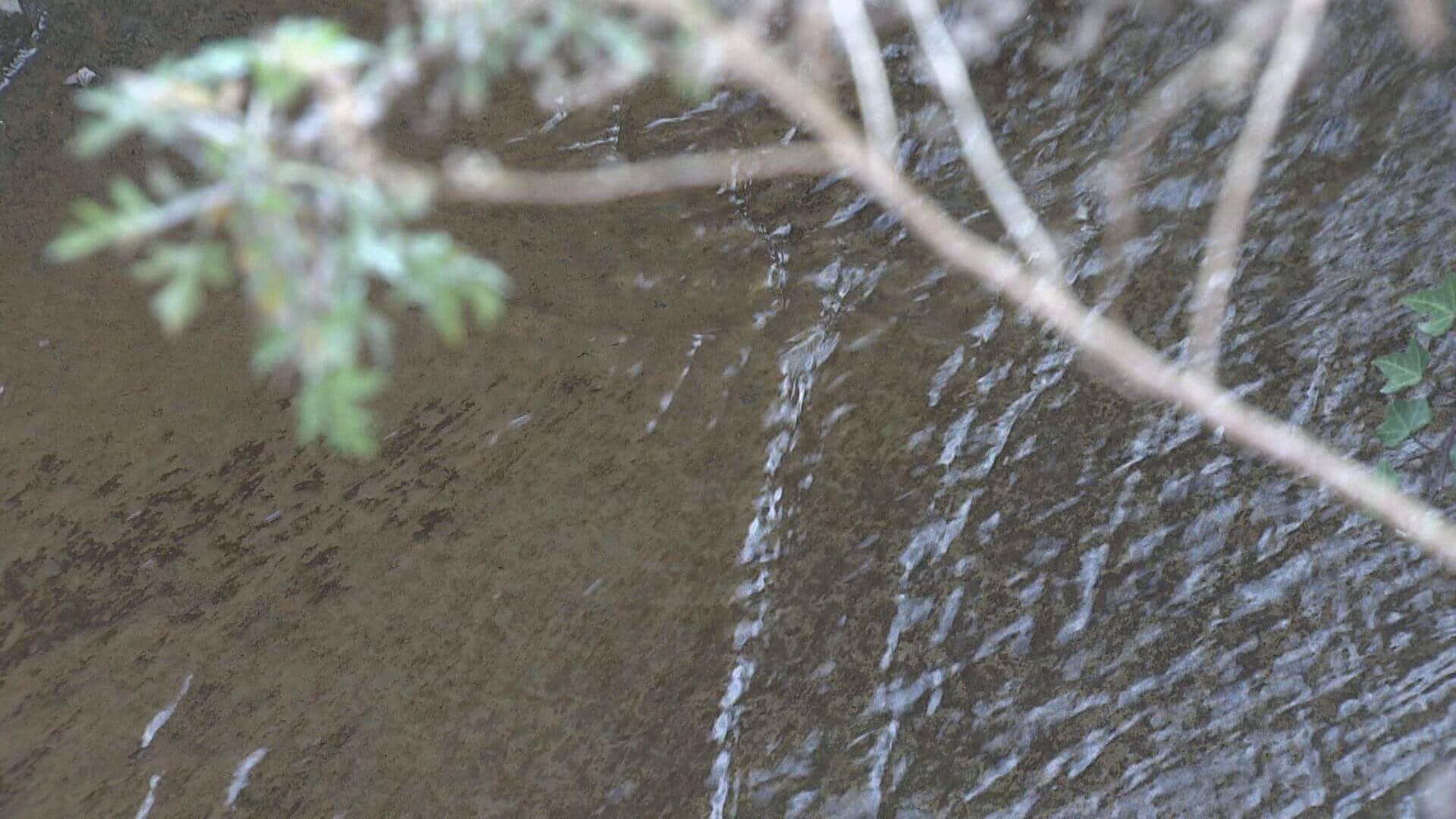 広島市安佐南区の川でPFAS濃度最大28倍　広島市が原因調査へ