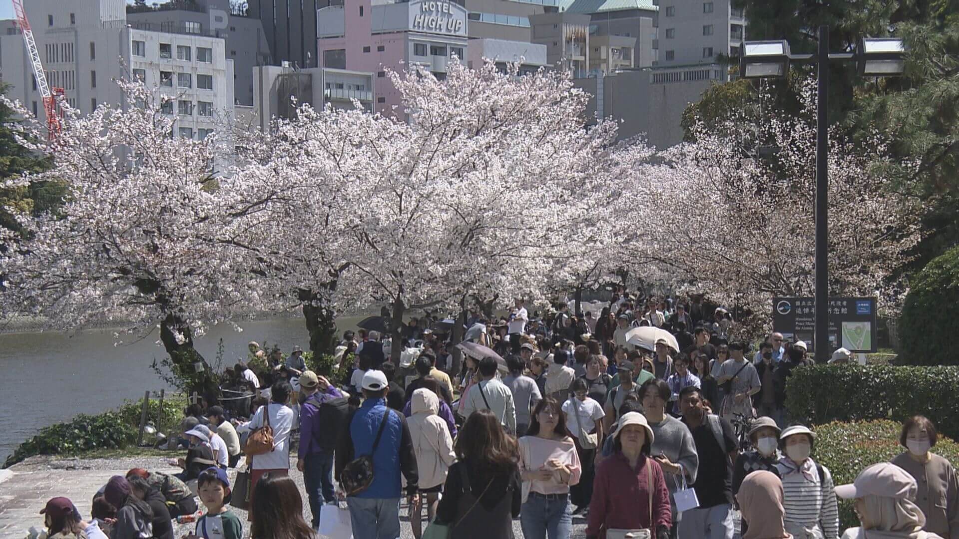 広島市内　花見客でにぎわう　晴天に恵まれ半袖姿の人も…