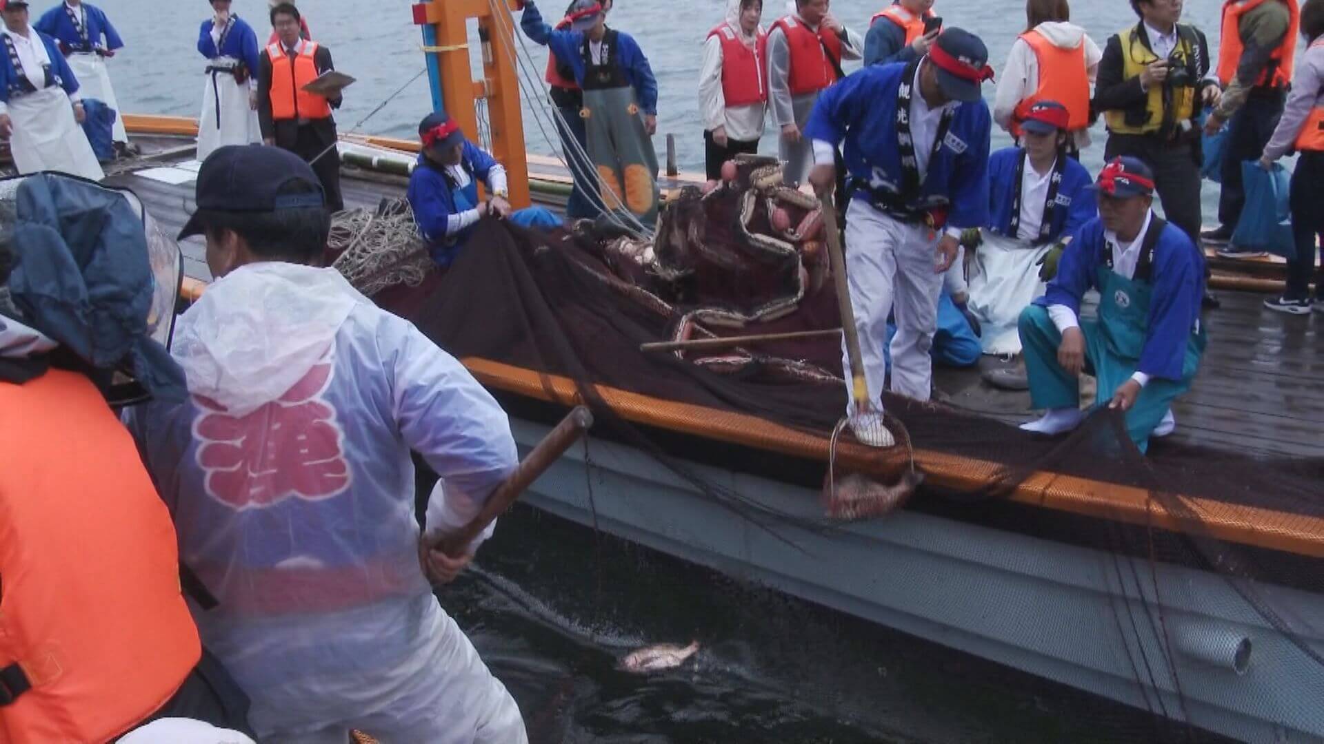 「観光鯛網」はじまる　鞆の浦・初夏の風物詩