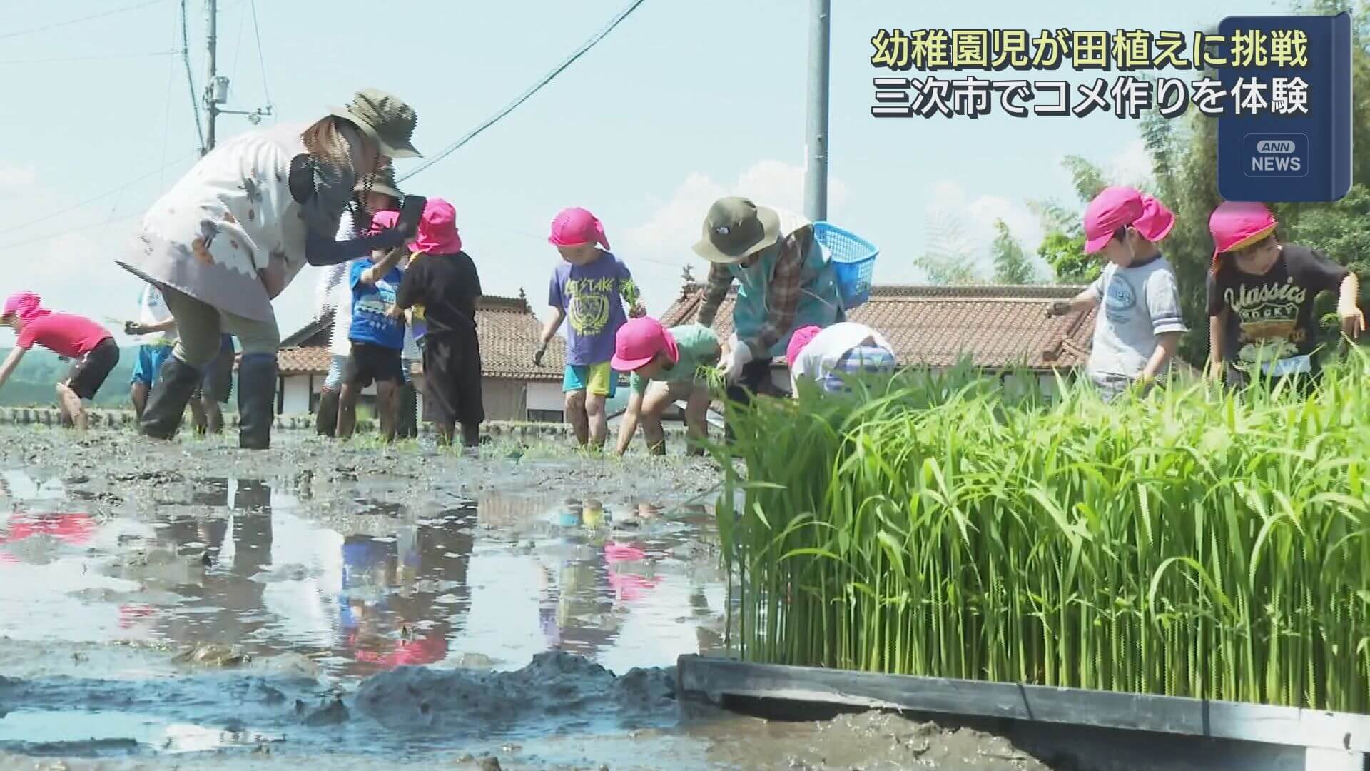 コメ作りを実感　幼稚園児が田植え体験　広島・三次市