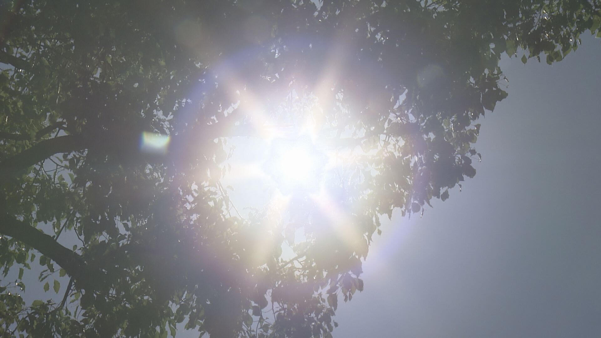 広島県内１０地点で気温３０℃超の真夏日に　広島市中区は最高気温３１．１℃を観測