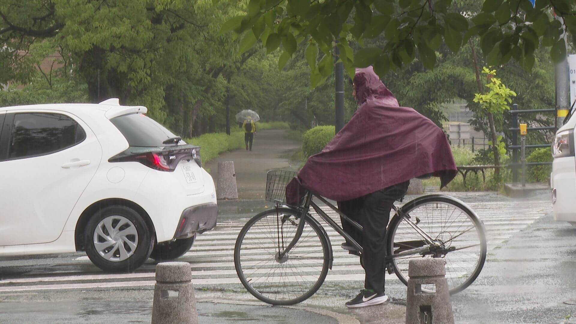 大雨で公共交通機関に乱れ　ＪＲ在来線では終日運転とりやめも　広島