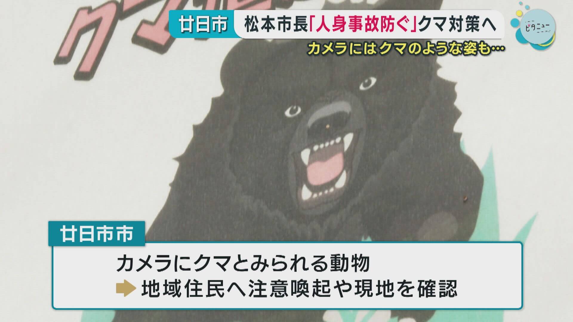 クマと車が衝突する事故も…松本市長「人身事故防ぐ」クマ対策へ　広島・廿日市市