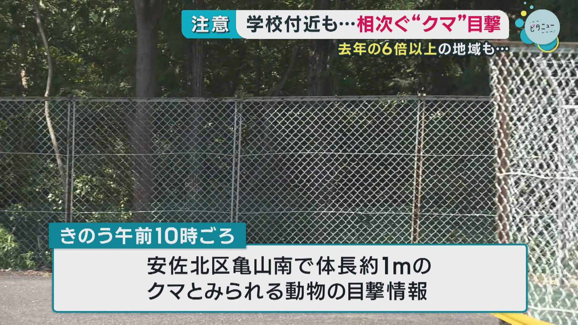 学校付近も…相次ぐ“クマ”目撃　去年の６倍以上の地域も　広島