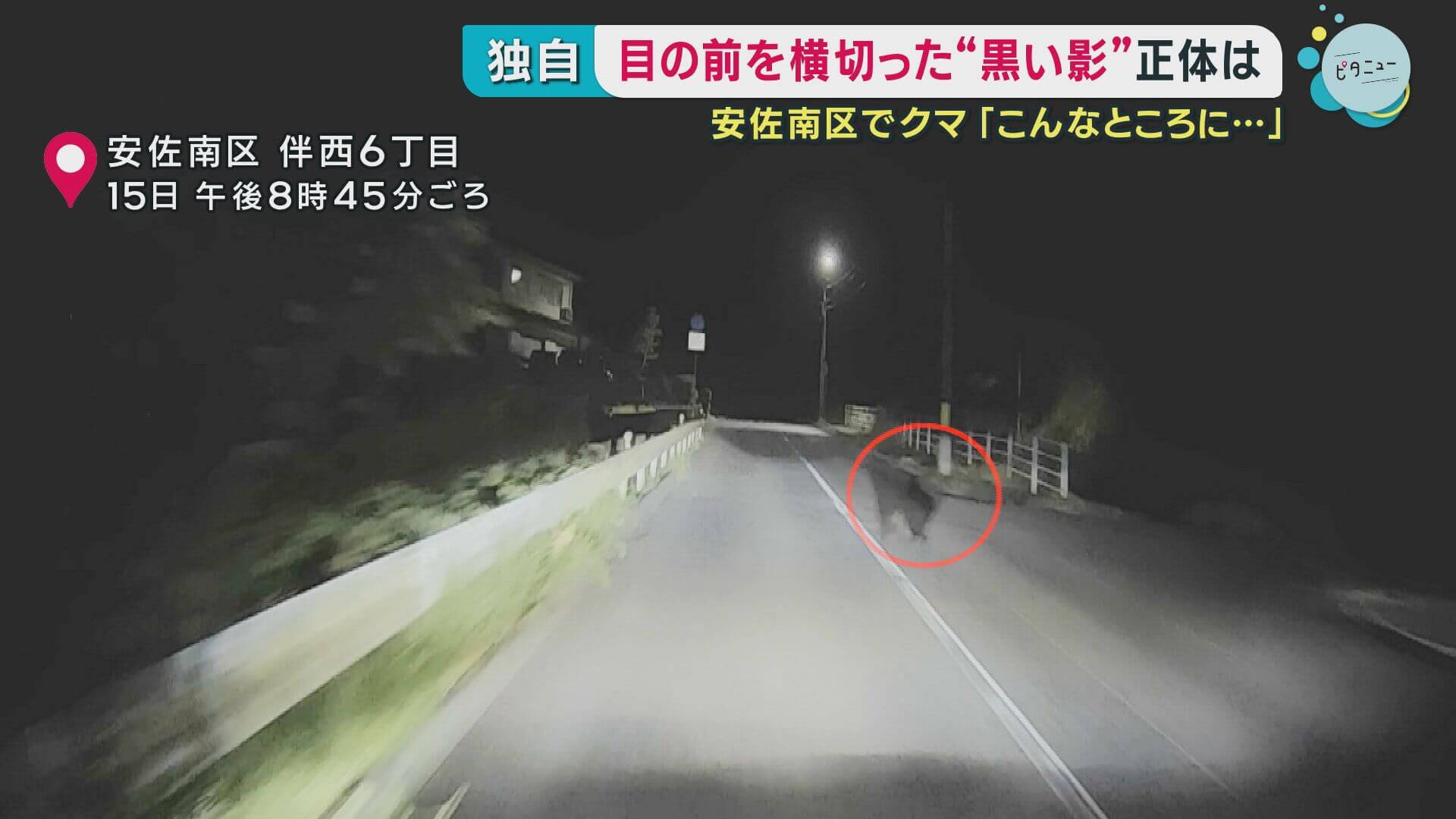 県道にクマ出没　ドライブレコーダーに体長1メートルの姿【広島・安佐南区】
