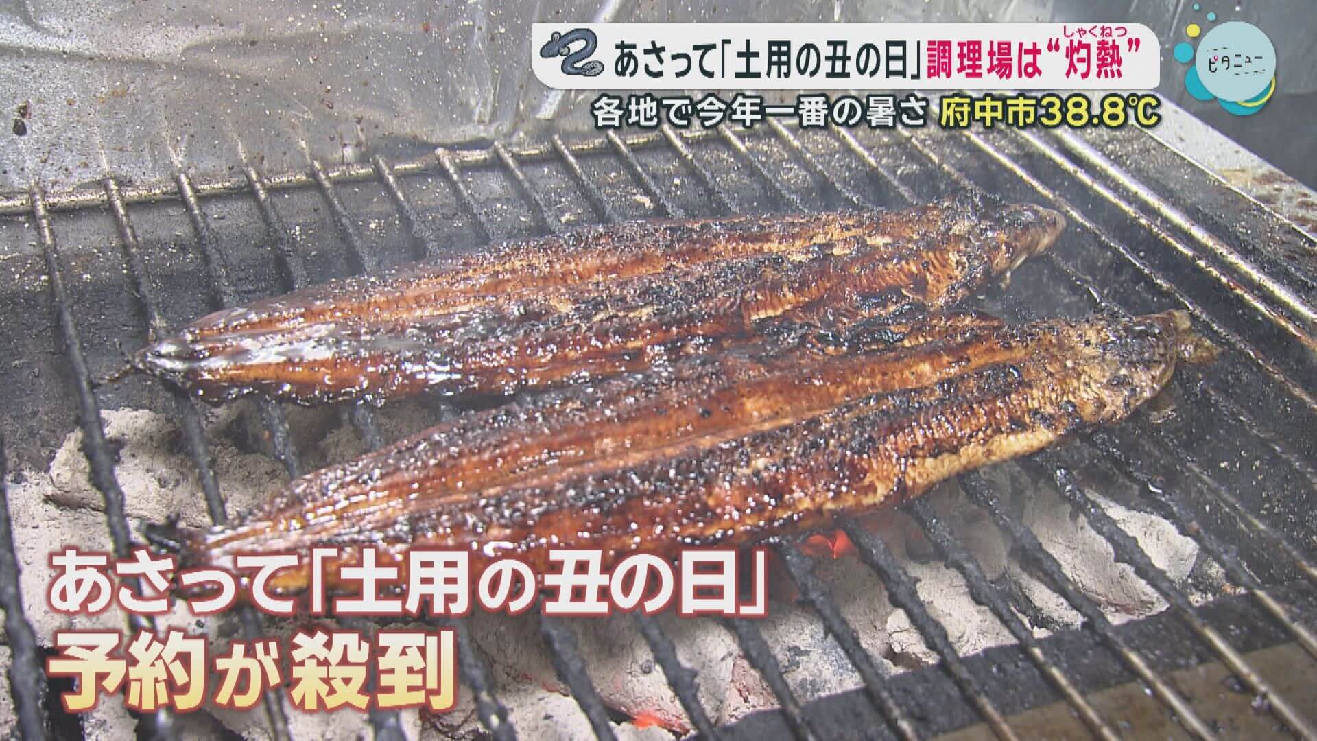 ２６日「土用の丑の日」調理場は“灼熱”　大豊漁で“うれしい異変”