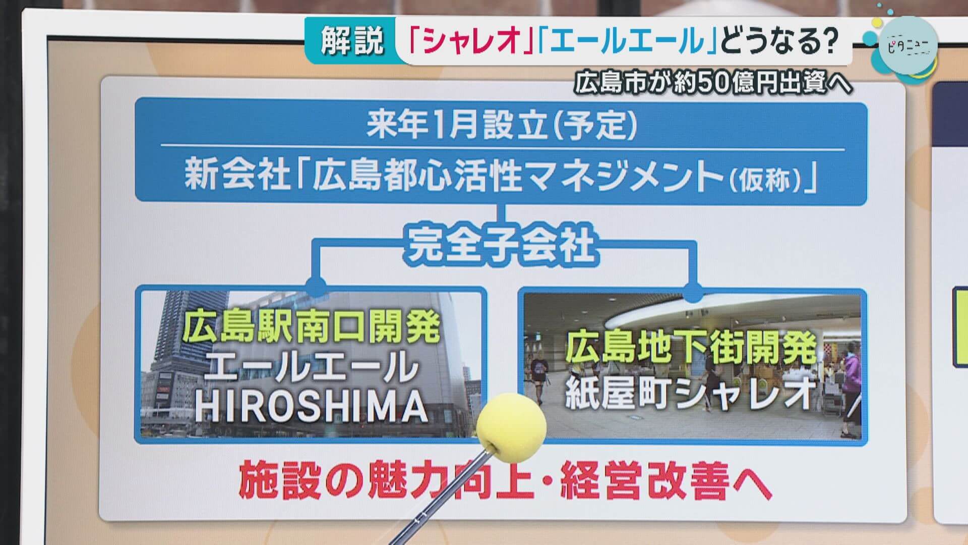 エールエール・シャレオをリニューアル　集客力アップ目指し約５０億円出資へ　広島