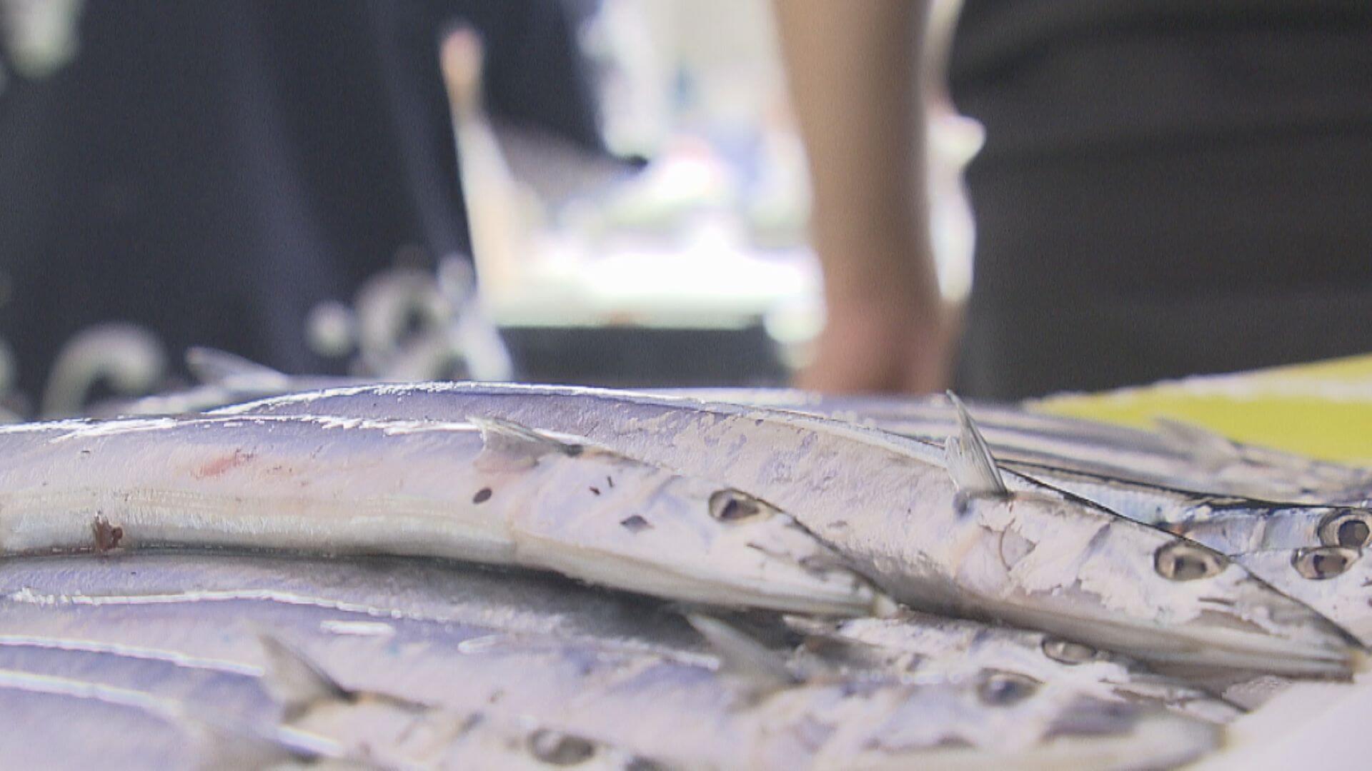 広島の“秋の味覚”　サンマ不漁で祭りは冷凍に　マツタケは豊作