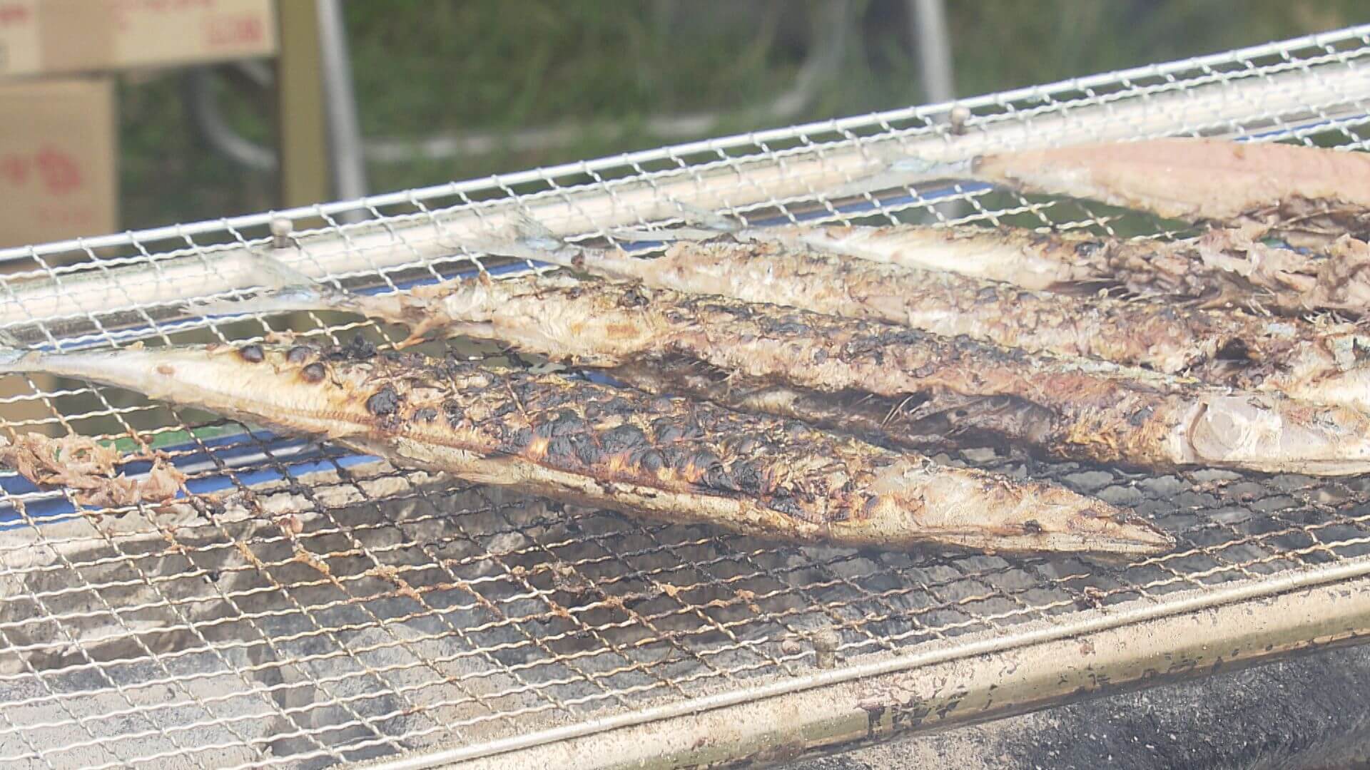 記録的な不漁も 「広島さんま祭り」で秋の味覚を堪能