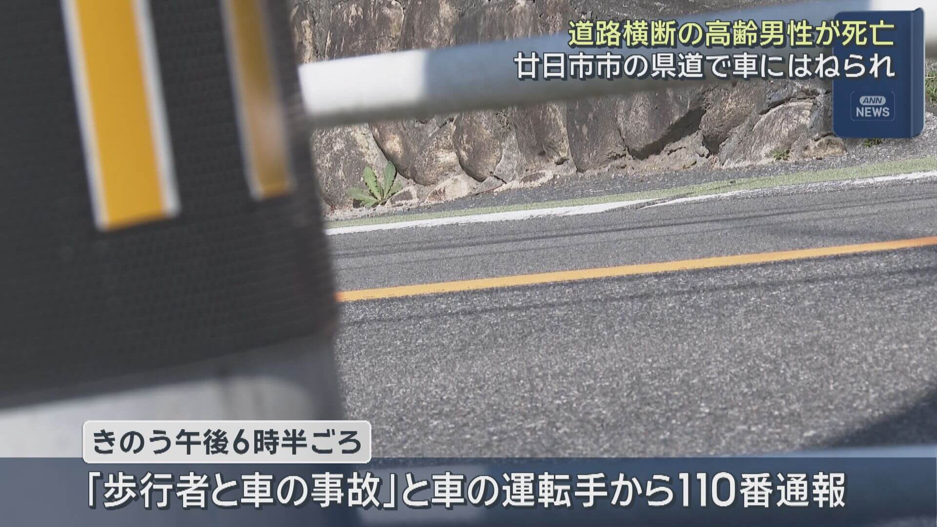 道路横断の男性　車にはねられ死亡　廿日市市津田の県道