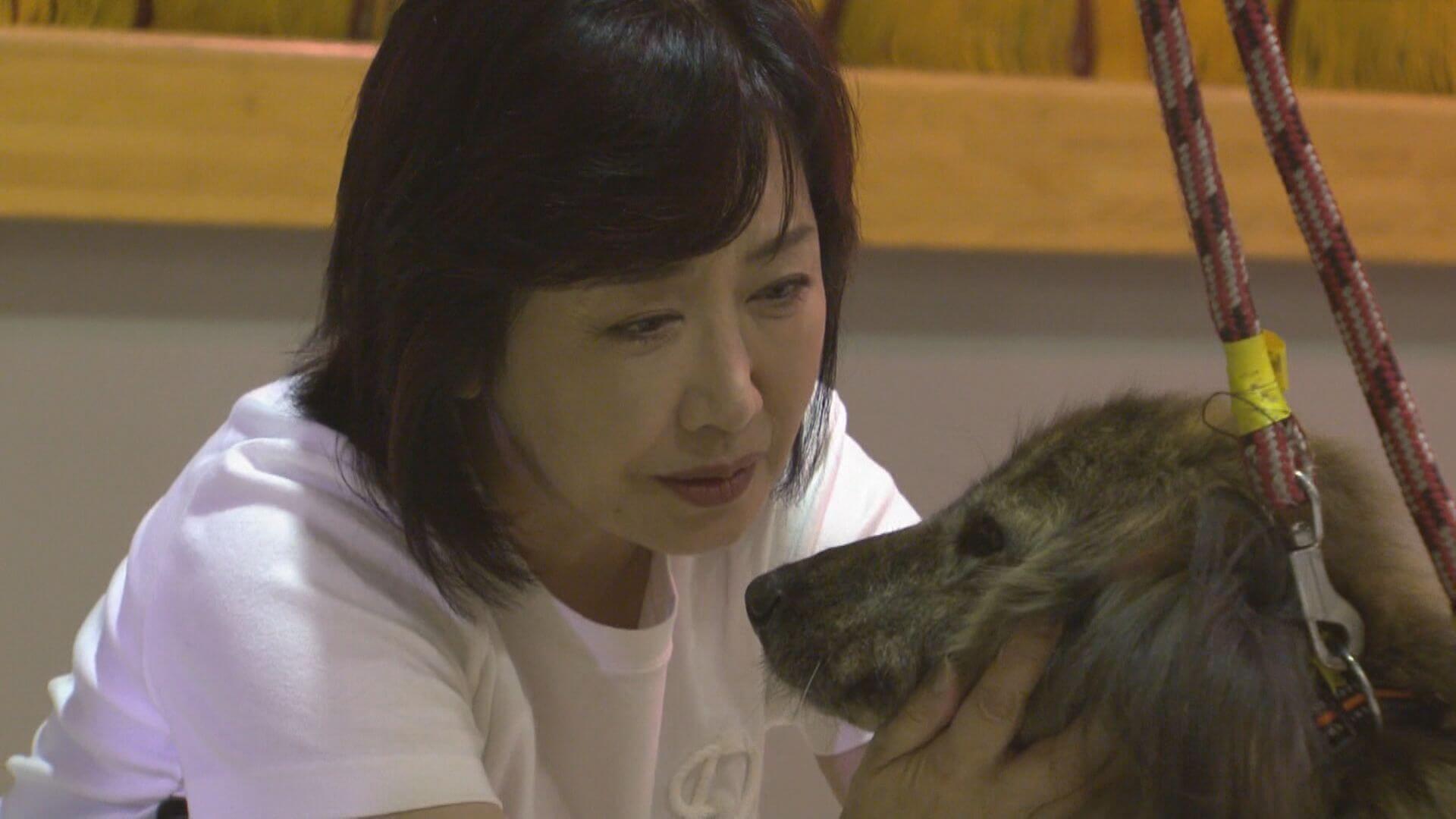 保護犬との生活で更生支援　伍代夏子さんが尾道刑務支所を訪問　広島