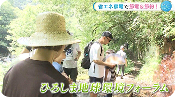 コラム
