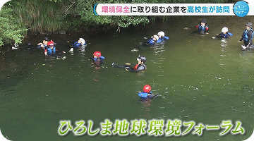 コラム