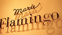 maree Flamingo