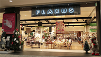 FLAXUS