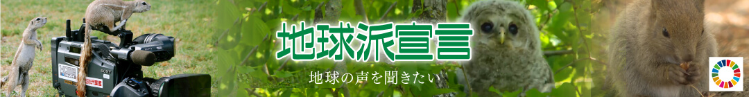 地球派宣言